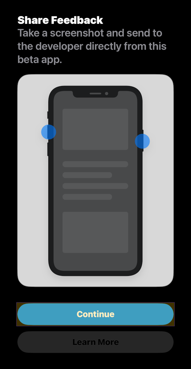 TestFlight Share Feedback Continue