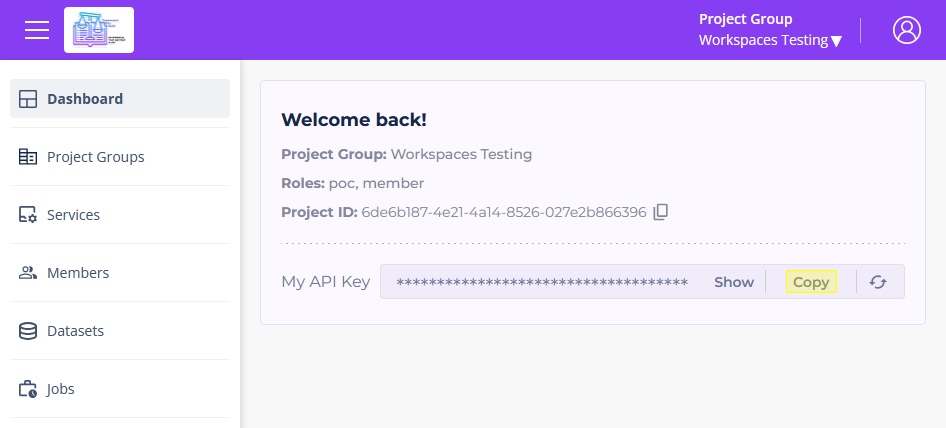 Screenshot of the Dashboard section of the TDEI Portal, with a highlight on the Copy button next to the My API Key box.