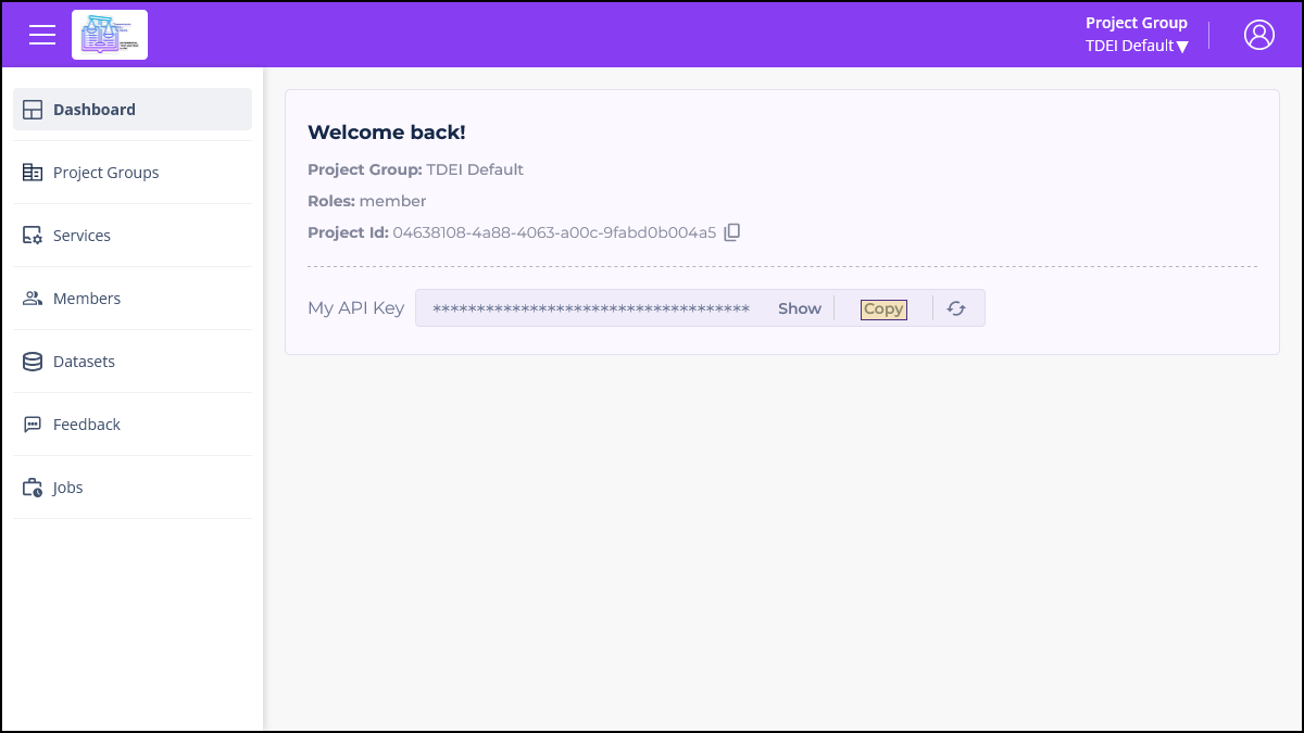 Screenshot of the Dashboard section of the TDEI Portal, with a highlight on the Copy button next to the My API Key box.