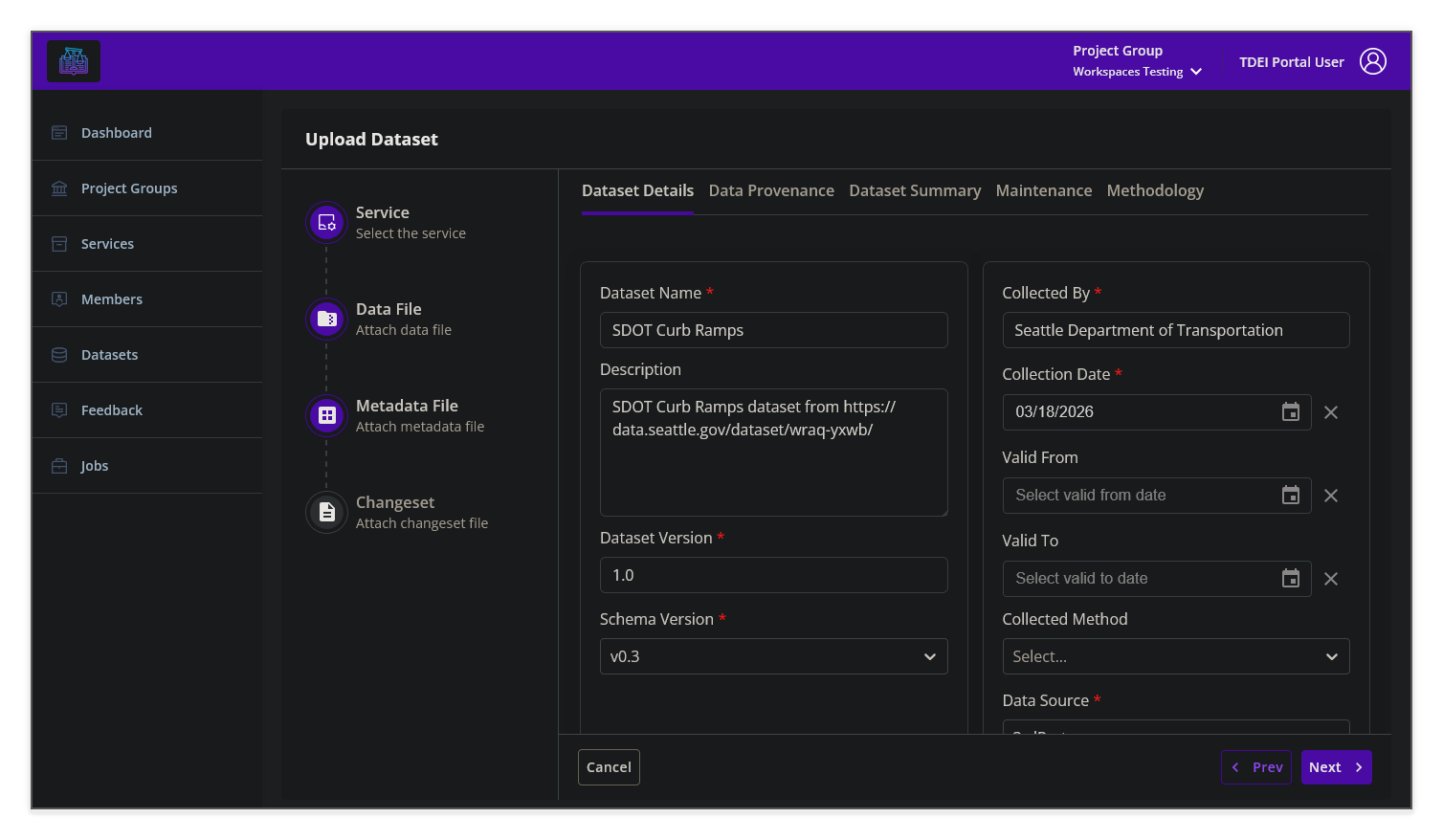 Upload Dataset — Dataset Details tab